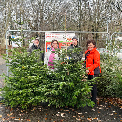 Weihnachtsbäume-01