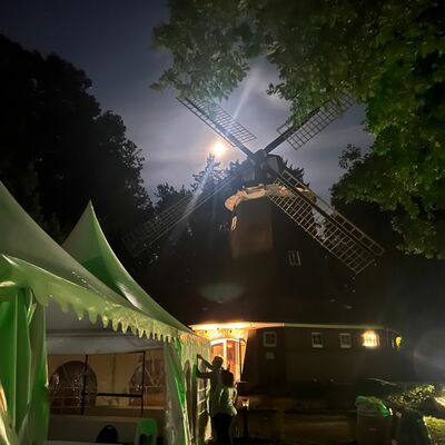 Wein an der Mühle 06